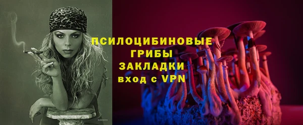 дживик Зеленокумск