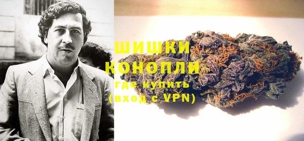 дживик Зеленокумск