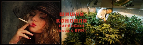 дживик Зеленокумск
