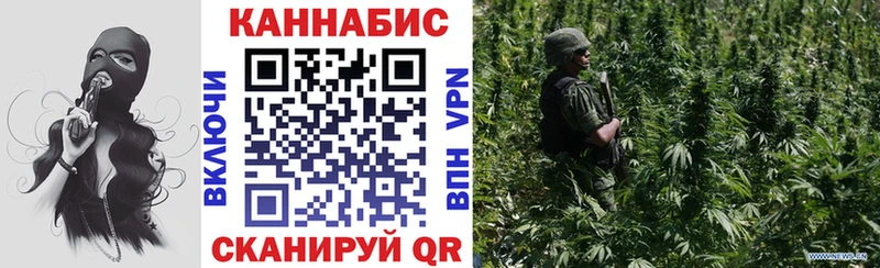 Марихуана сатива  Купить закладки  Белая Холуница 